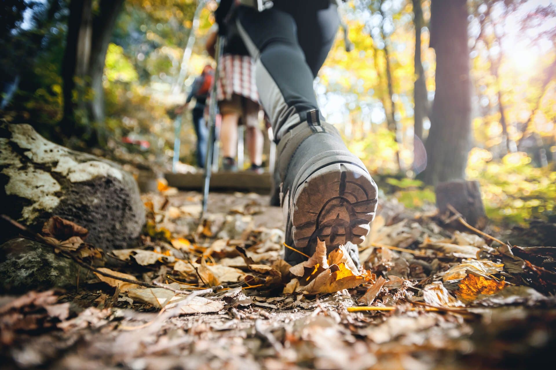 Discover the Trails